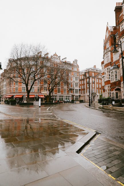 A wet city street scene featuring a curved pavement and road intersection in front of multi-story red-brick residential buildings with white window frames and ornate architectural detailing. The pavement surface appears slick with rain, reflecting the overcast sky. Two bare deciduous trees with thin branches are situated near the curb, partially obscuring parts of the buildings. To the left, a street lamp and bollards are visible, indicating a pedestrian area. The environment suggests a quiet urban setting perhaps in a residential neighbourhood, where private waste collection services, such as those provided by Waste Clearance Mayfair, might handle rubbish removal from the surrounding properties. The overall scene conveys a calm, rainy day typical of an independent disposal or private rubbish clearance process, as no public waste bins are immediately visible, and the detailed surroundings emphasize a clean but weather-exposed urban environment.