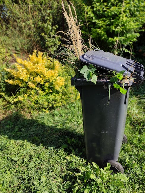 A black plastic wheelie bin filled with garden waste including branches, leaves, and dried grasses, situated outdoors on a grassy area. The lid is closed but slightly tilted, with some of the waste overflowing and resting on the top. The surrounding environment features lush green foliage and bushes, with a white-flowered shrub visible in the background. The scene appears to be in a private garden or outdoor space, with natural daylight illuminating the area, consistent with private on-site clearance or garden waste removal services provided by Waste Clearance Mayfair. The image highlights the collection of garden refuse as part of alternative waste handling, with the bin clearly positioned for disposal or collection.